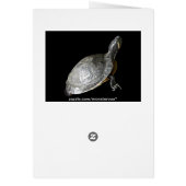 Turtle Cards (Back)