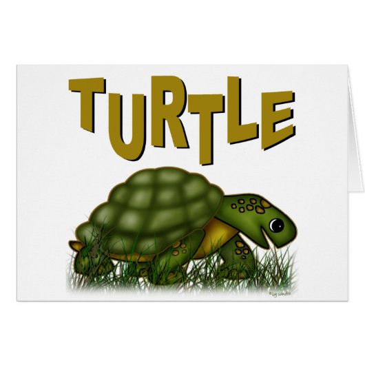 Turtle Cards (Front Horizontal)