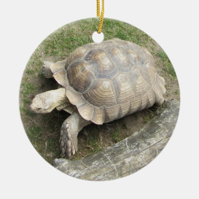Turtle Ceramic Ornament (Front)