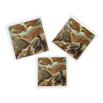 Turtle (chelonia) By Haeckel Acrylic Tray by vintage_gift_shop at Zazzle