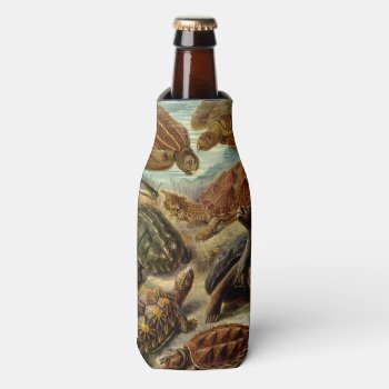 Turtle (chelonia) By Haeckel Bottle Cooler by vintage_gift_shop at Zazzle