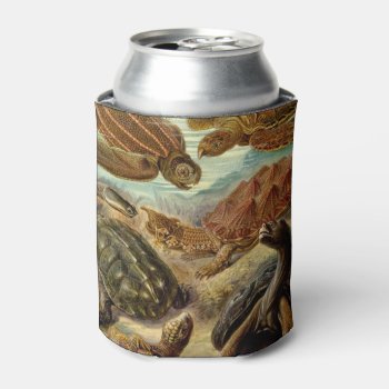 Turtle (chelonia) By Haeckel Can Cooler by vintage_gift_shop at Zazzle