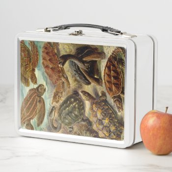 Turtle (chelonia) By Haeckel Metal Lunch Box by vintage_gift_shop at Zazzle