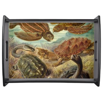 Turtle (chelonia) By Haeckel Serving Tray by vintage_gift_shop at Zazzle