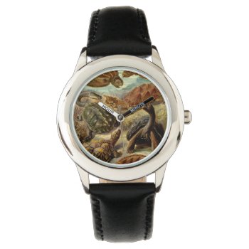 Turtle (chelonia) By Haeckel Watch by vintage_gift_shop at Zazzle