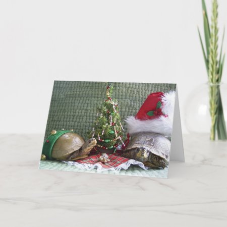 Turtle Christmas Holiday Card