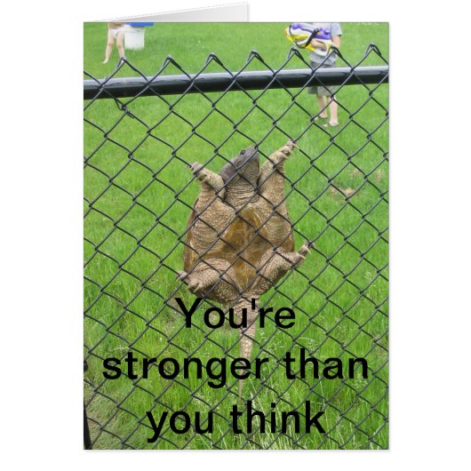 Turtle climbing fence cards (Front)