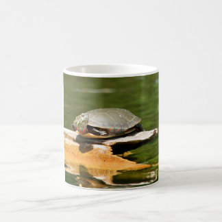 Turtle Coffee Mug