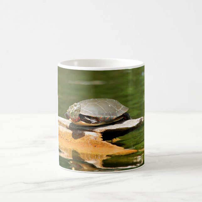 Turtle Coffee Mug (Center)