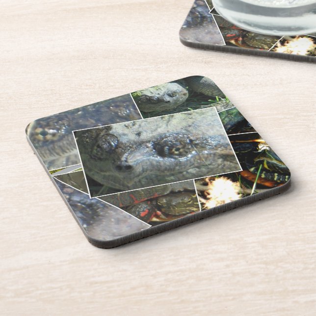 Turtle Collage Beverage Coaster (Left Side)