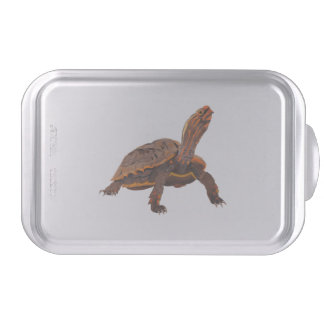Turtle Copy Copy Copy Copy Copy Copy Copy Cake Pan