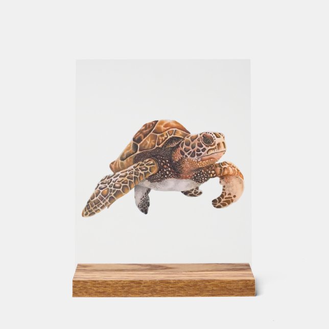 Turtle Copy Copy Copy Copy Copy Copy Copy Copy Cop Acrylic Sign (Front)