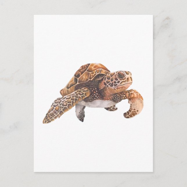 Turtle Copy Copy Copy Copy Copy Copy Copy Copy Cop Postcard (Front)