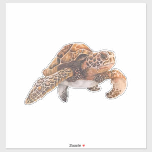 Turtle Copy Copy Copy Copy Copy Copy Copy Copy Cop Sticker