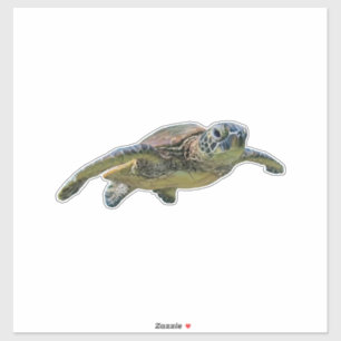 Turtle Copy Copy Copy Copy Copy Copy Copy Copy Cop Sticker