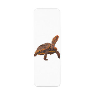Turtle Copy Copy Copy Copy Copy Copy Copy Label