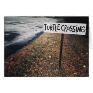 turtle crossing cards