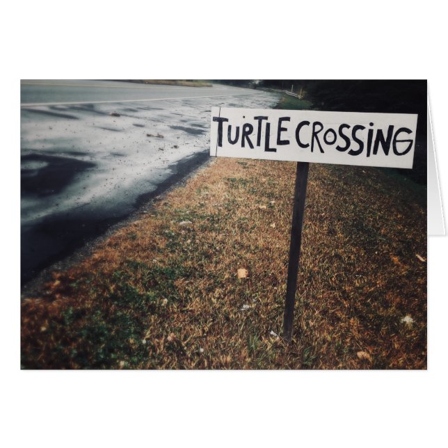 turtle crossing cards (Front Horizontal)