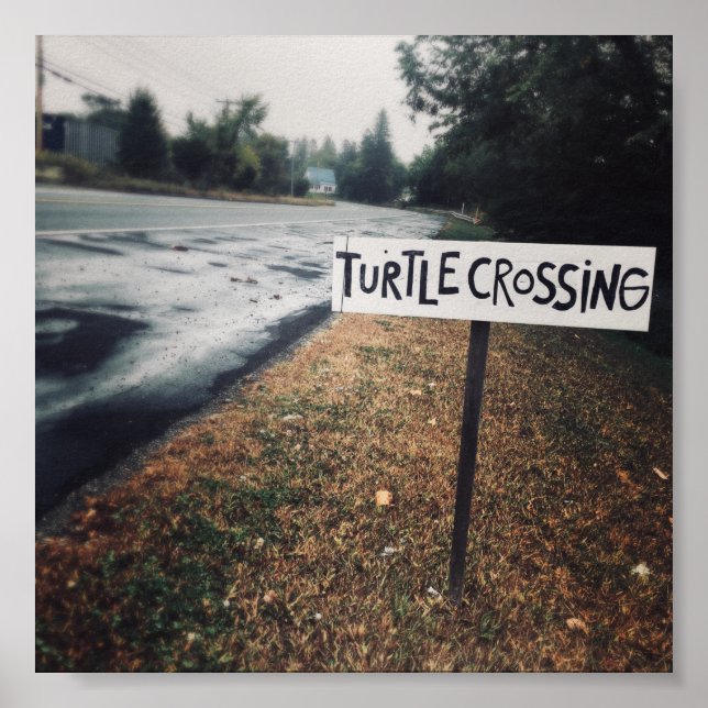 turtle crossing poster (Front)
