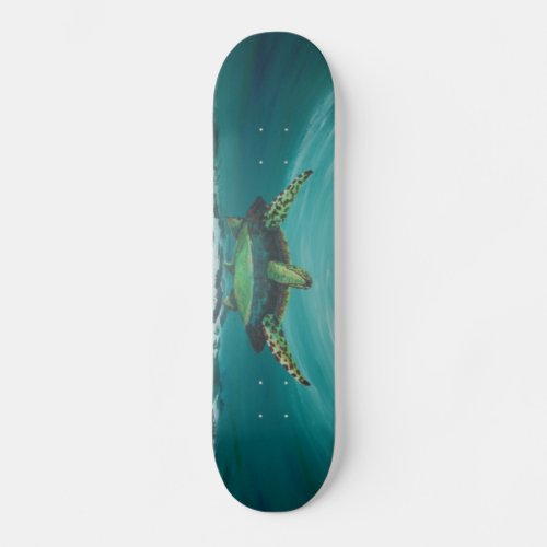 Turtle crossing skateboard deck