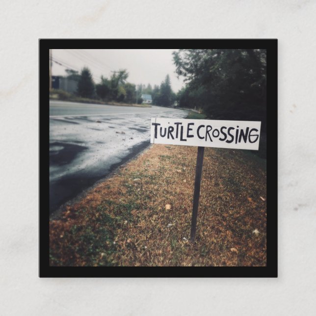 turtle crossing square business card (Front)