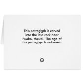 turtle-dark blue cards (Back Horizontal)