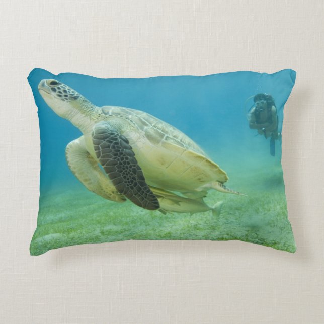 Turtle Decorative Pillow (Front)