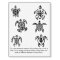Turtle design transfers and temporary tattoos