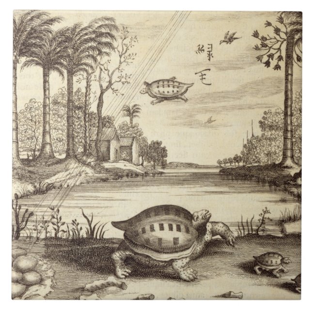 Turtle Eggs Hatching, from 'China Illustrated' by Ceramic Tile (Front)