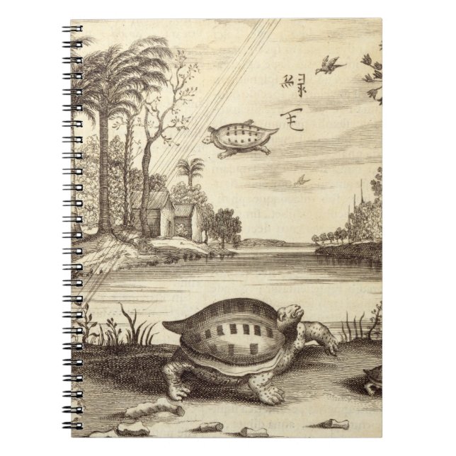 Turtle Eggs Hatching, from 'China Illustrated' by Notebook (Front)