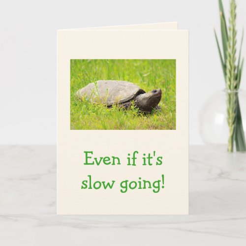 Turtle Encouragement Card