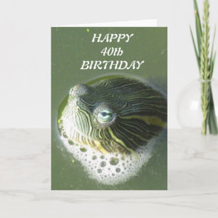 Turtle Eyes Birthday Cards