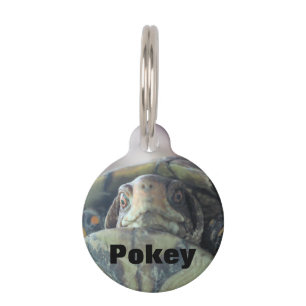 Turtle face pet ID tag