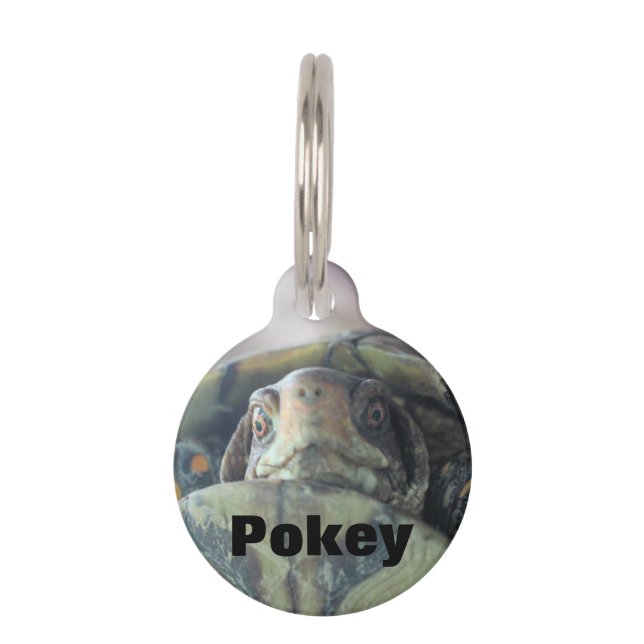 Turtle face pet ID tag (Front)