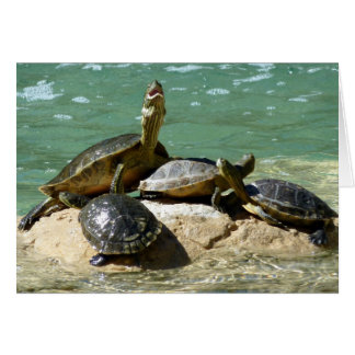 Turtle family cards