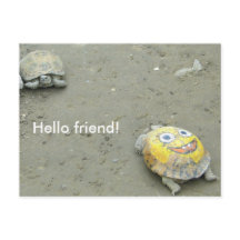 Turtle fan SpongeBob