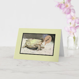TURTLE FLIPPED OVER/SORRY ABOUT YOUR ACCIDENT/HUMO CARD