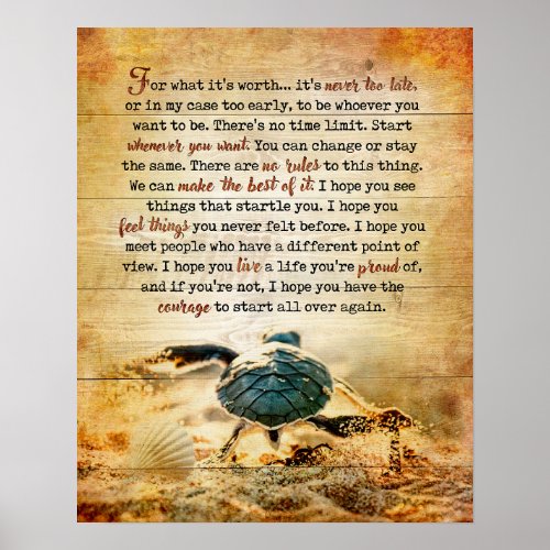 Turtle For What Inspirational  Motivational Poster
