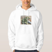 Turtle Friends Men's Hoodie