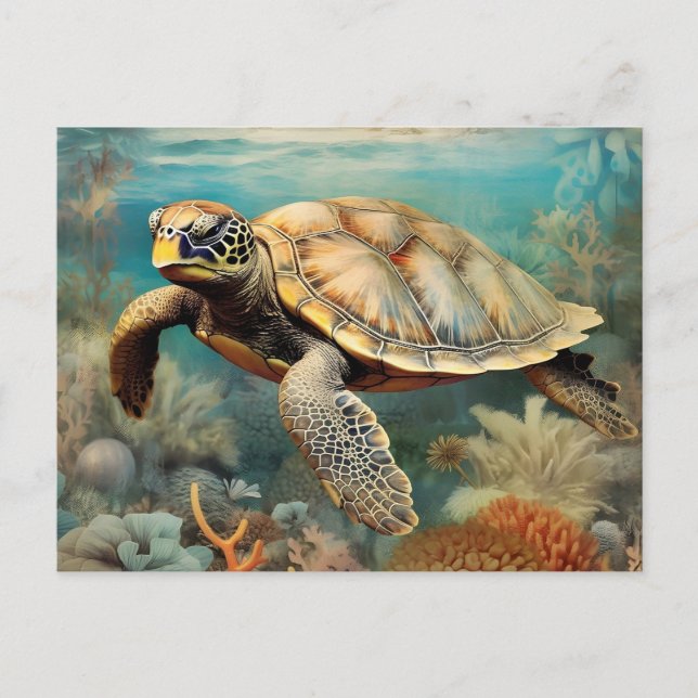 Turtle From The Tranquil Shores Postcard (Front)