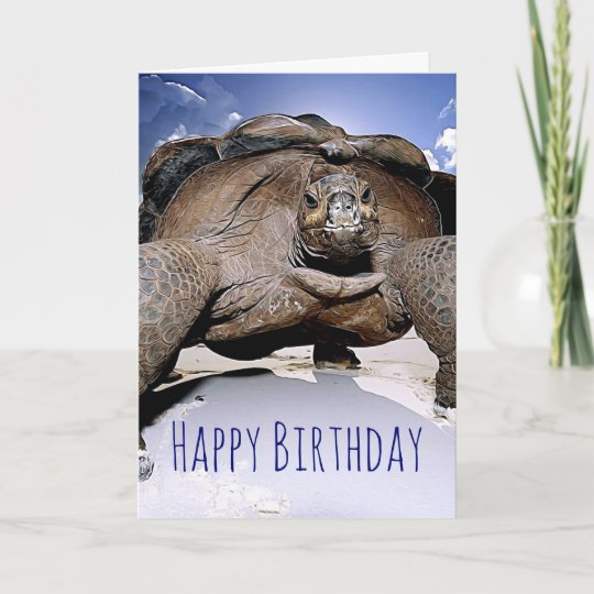 turtle-happy-birthday-greeting-card-zazzle