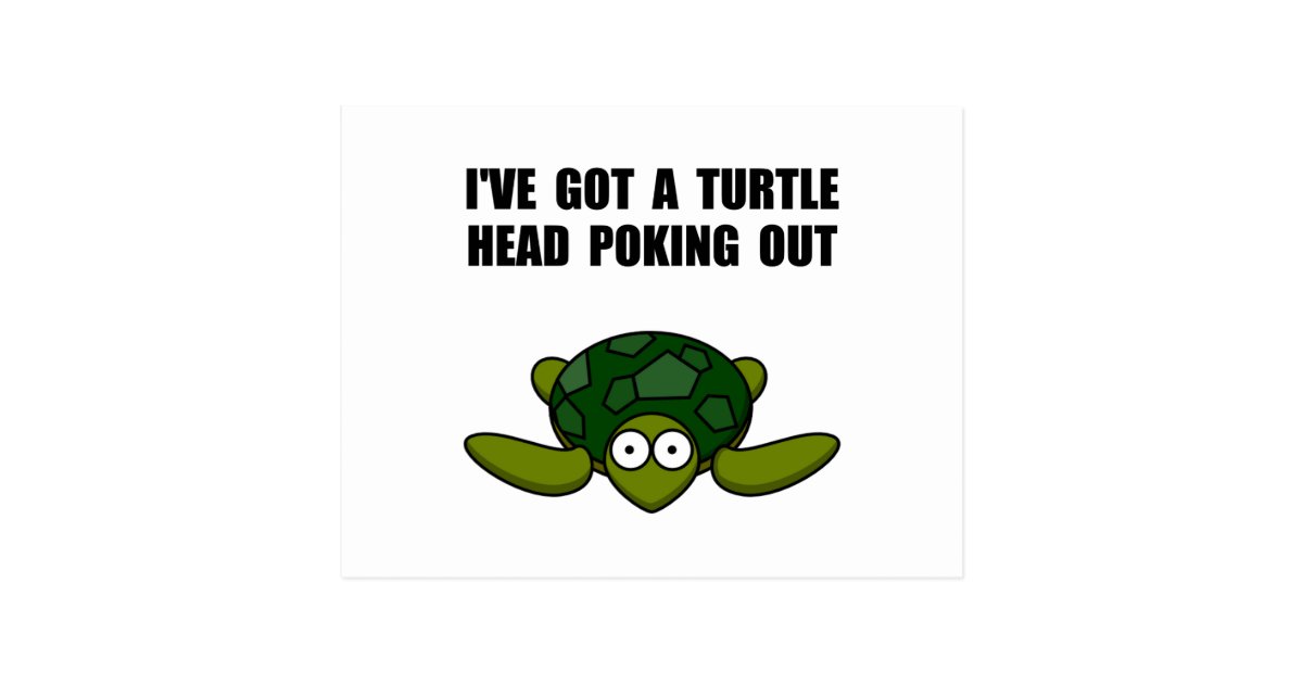 Turtle Head Poking Out Postcard | Zazzle