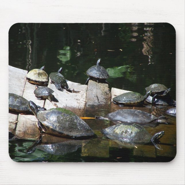 Turtle Heaven Mouse Pad (Front)