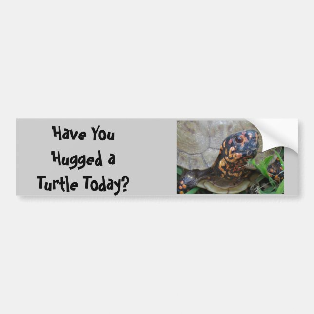 Turtle Hugger Bumper Sticker (Front)