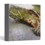 Turtle Identification Binder