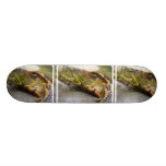 Turtle Identification Skateboard Deck