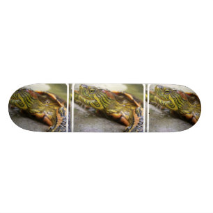 Turtle Identification Skateboard Deck