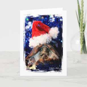 Turtle in Christmas Santa Hat Picture Holiday Card