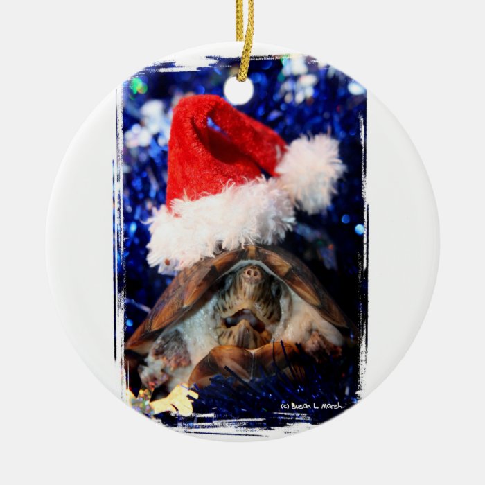 Turtle in Christmas Santa Hat Picture Christmas Ornaments