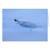 Turtle In Pond (Front Horizontal)